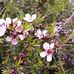 Matthew Clarkin - Facebook