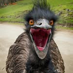 matthew clarkin - @matthew_clarkin - Instagram