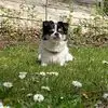 matthewclickman2 - @matthew.clickman - TikTok