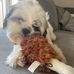Matthew Collado - Facebook