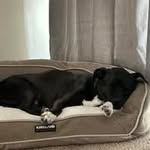 Matthew Ryan Combs - @combsmr911 - Instagram