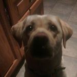 Matthew Cooley - @matthew04cool - Instagram