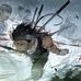 Matthew Cooley - Facebook