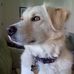 Matthew Copple - Facebook
