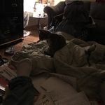 Matthew corbitt - @mcorbitt72m - Instagram