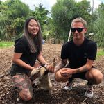 ʇʇɐW - @matthew_corder - Instagram