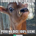 Matthew Cornejo - @cornejomatthew - Instagram