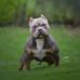 Matthew Cottrell - Facebook