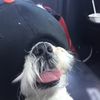 Matthew Couper762 - @matthewcouper762 - TikTok