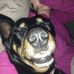 Matthew Couper - Facebook