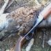 Matthew Crain - Facebook