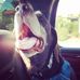 Matt Crenshaw - Facebook