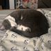 Matthew Cress - Facebook