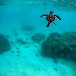 Matthew Crombie - @matthew.crombie - Instagram