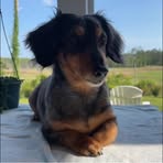Matthew Croom - Facebook