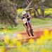 Matthew Crosbie - Facebook