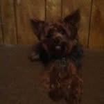 Matthew Crownover Jr. - @crownoverjr.matthew - Instagram