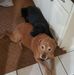 Mathew Croy - Facebook