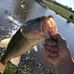 Matt Cumberland - Facebook