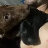 Matt Cupples - @matt.cupples3 - TikTok