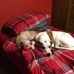 Matthew Cushing - Facebook