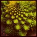 Matthew Dalby - @mdatty - Instagram