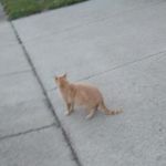 matthewdeering - @matthewdeering7707 - Instagram