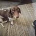 Matthew DeFord - Facebook