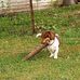 Matthew Deford - Facebook