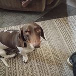 Matthew James Deford - @matthewdeford346 - Instagram