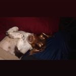 Matthew James Deford - @matthew.deford.3 - Instagram