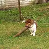 matthewdeford755 - @matthewdeford755 - TikTok