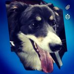 matthew devaney - @devaney.matthew - Instagram