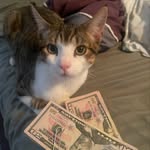 Matt - @matthew_devito1027 - Instagram