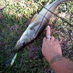 Matthew Dewolfe - Facebook