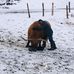 Matt Dibble - Facebook