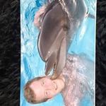 Matthew Dibble - @matthewdibble - Instagram