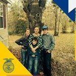 Matthew Dibble - @matthew.dibble.92 - Instagram