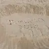 Matthewjasmyne Dolso - @matthewjasmynedolson - TikTok