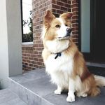 Matthew Donato - @matty.donato - Instagram