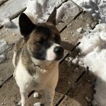 Matthew Doney - @matthewdoney9413 - Instagram