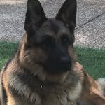 @matthew_donley65 - Instagram