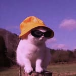Matthew Dorrough - @matthewdorrough - Instagram