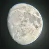 matthewdoster - @matt88017 - TikTok