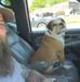 Matthew Dowden - Facebook