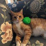 Matthew Balbuena - @matthewdragon - Instagram