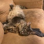 Matthew Driver - @matthew.driver.180 - Instagram