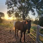 Matthew Thompson - @matthew_drones - Instagram