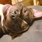 Matthew Duckett - @mrmatts78 - Instagram