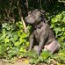 Matthew Duckett - Facebook